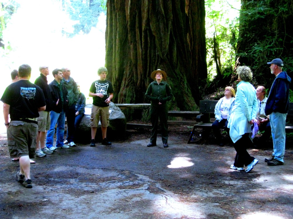 Muir Woods Ranger